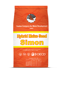 Simon